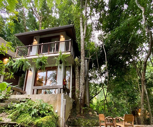 Fern Hill Villa