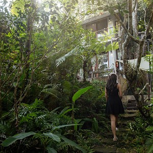 Fern Hill Villa
