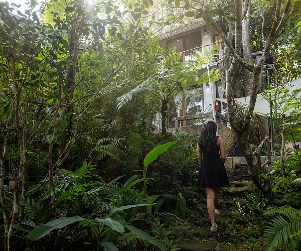 Fern Hill Villa