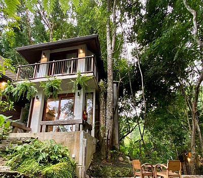 Fern Hill Villa